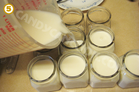 Lần lượt đổ vào các cốc hoặc lọ nhỏ để ủ sữa chua